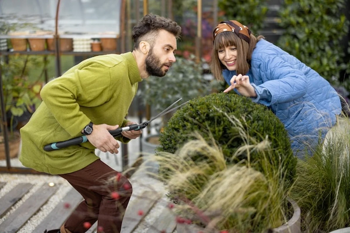 Młoda para przycina krzew nożyczkami w ogrodzie