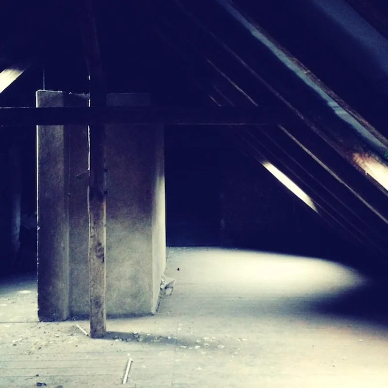 Puste poddasze z światłem dziennym