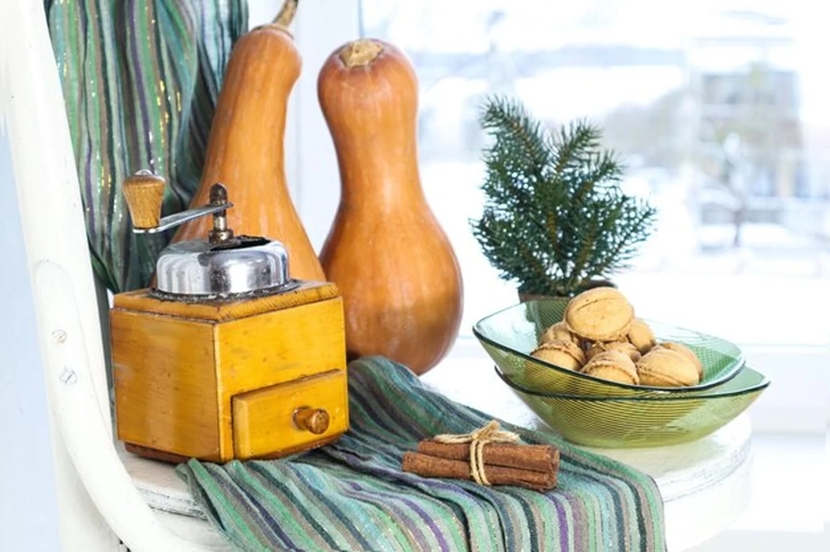 Dębki, orzechy, stary młyn do kawy i świerk na białym krześle