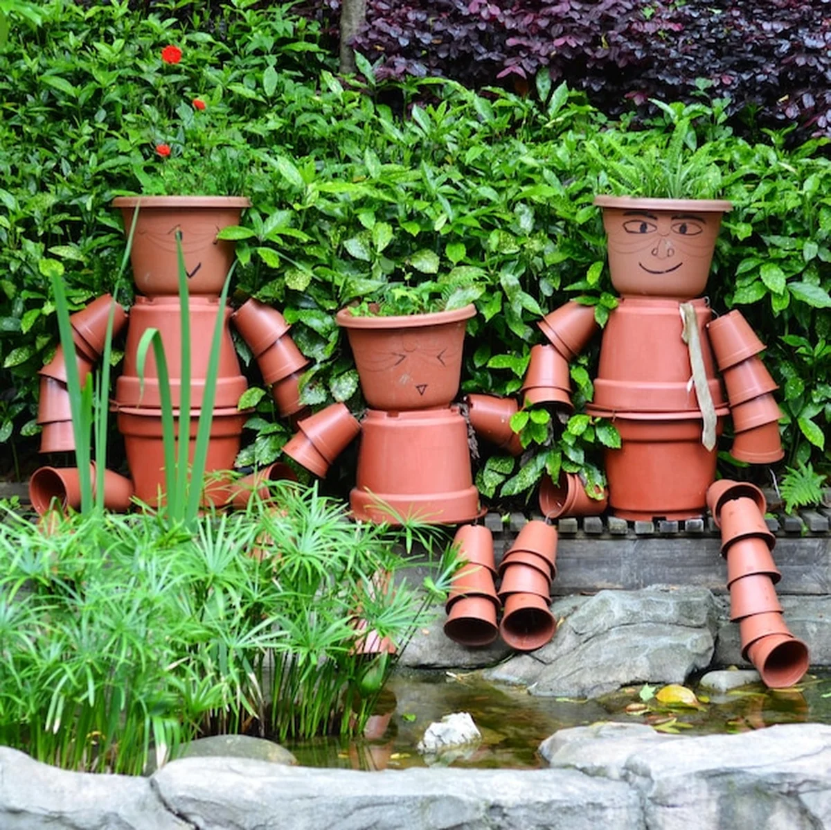 Rośliny w doniczkach na podwórku